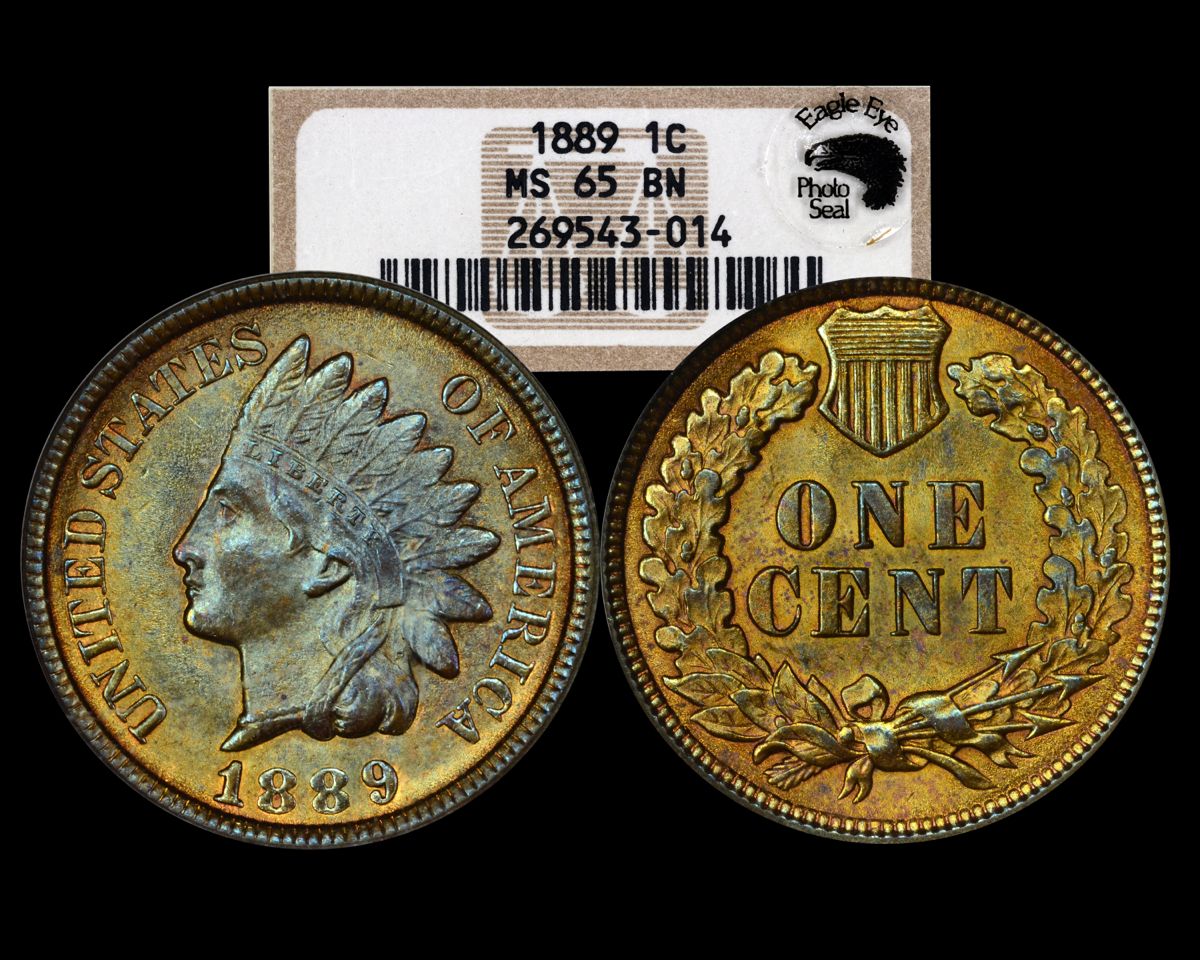 Will-This-1889-Indian-Head-Cent-Slab-?