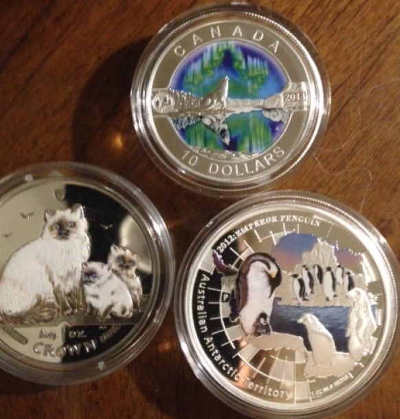What-Theme-Do-You-Collect-In-NCLT-Coins