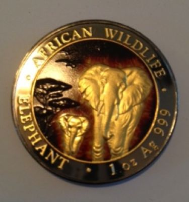 What-Theme-Do-You-Collect-In-NCLT-Coins