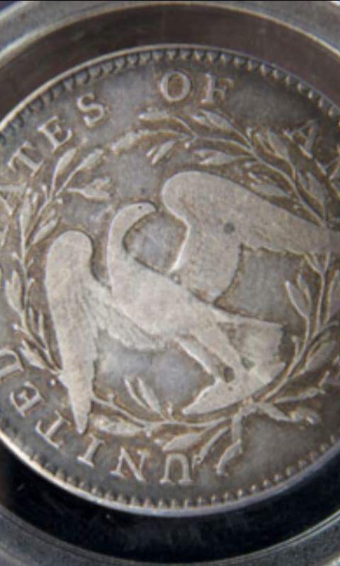 Flowing-Hair-Dollar-1974-----Poor-Quality-Picture