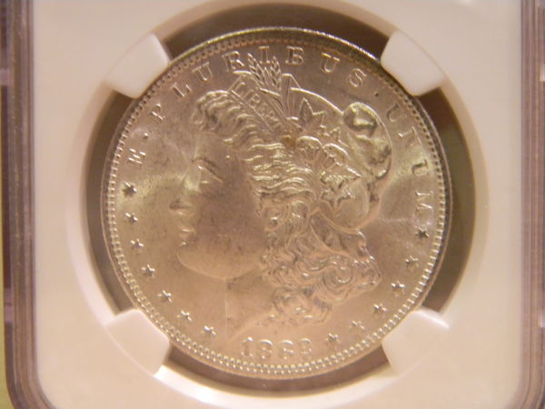 What-Do-You-Think-This-1882-S-Morgan-Grade-Is?
