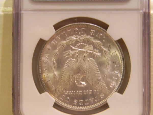 What-Do-You-Think-This-1882-S-Morgan-Grade-Is?
