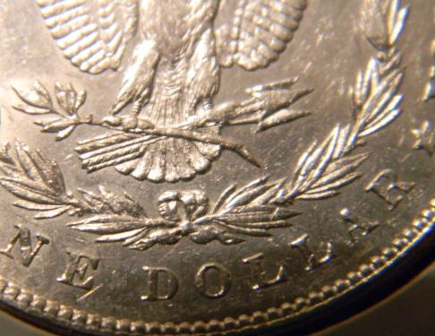 Is-This-1878-7TF-A-Missing-Feathers-Variety?