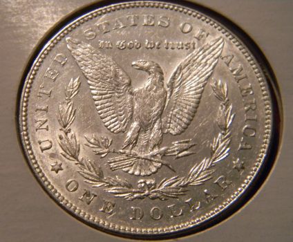 Is-This-1878-7TF-A-Missing-Feathers-Variety?
