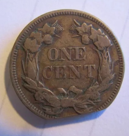 Flying-Eagle-Cent-,-What-Would-You-Grade-?