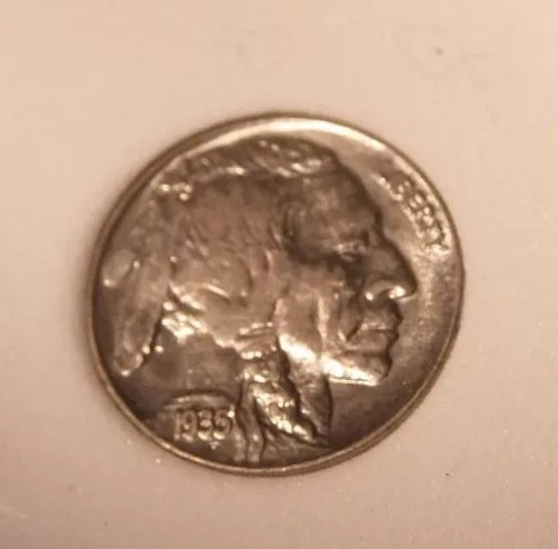 Basement-/-Unknown-Slabbed-Buffalo-Nickels-..-Grades-?