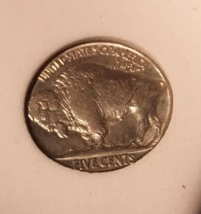 Basement-/-Unknown-Slabbed-Buffalo-Nickels-..-Grades-?