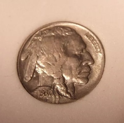 Basement-/-Unknown-Slabbed-Buffalo-Nickels-..-Grades-?
