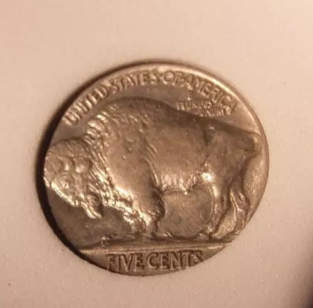 Basement-/-Unknown-Slabbed-Buffalo-Nickels-..-Grades-?