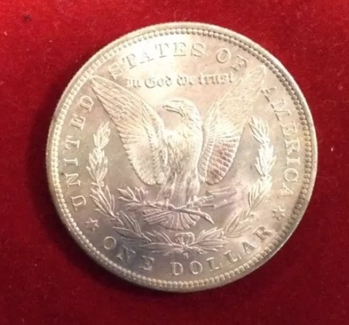 Thoughts-On-1880-S-Morgan-Dollar-?