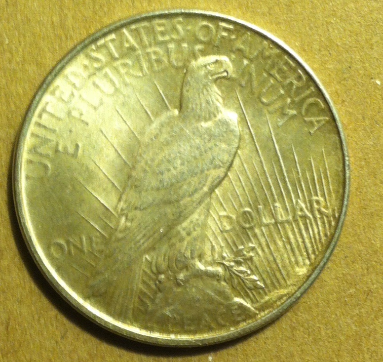 14-Buck-Peace-Dollar-,-How-Did-I-Do-?