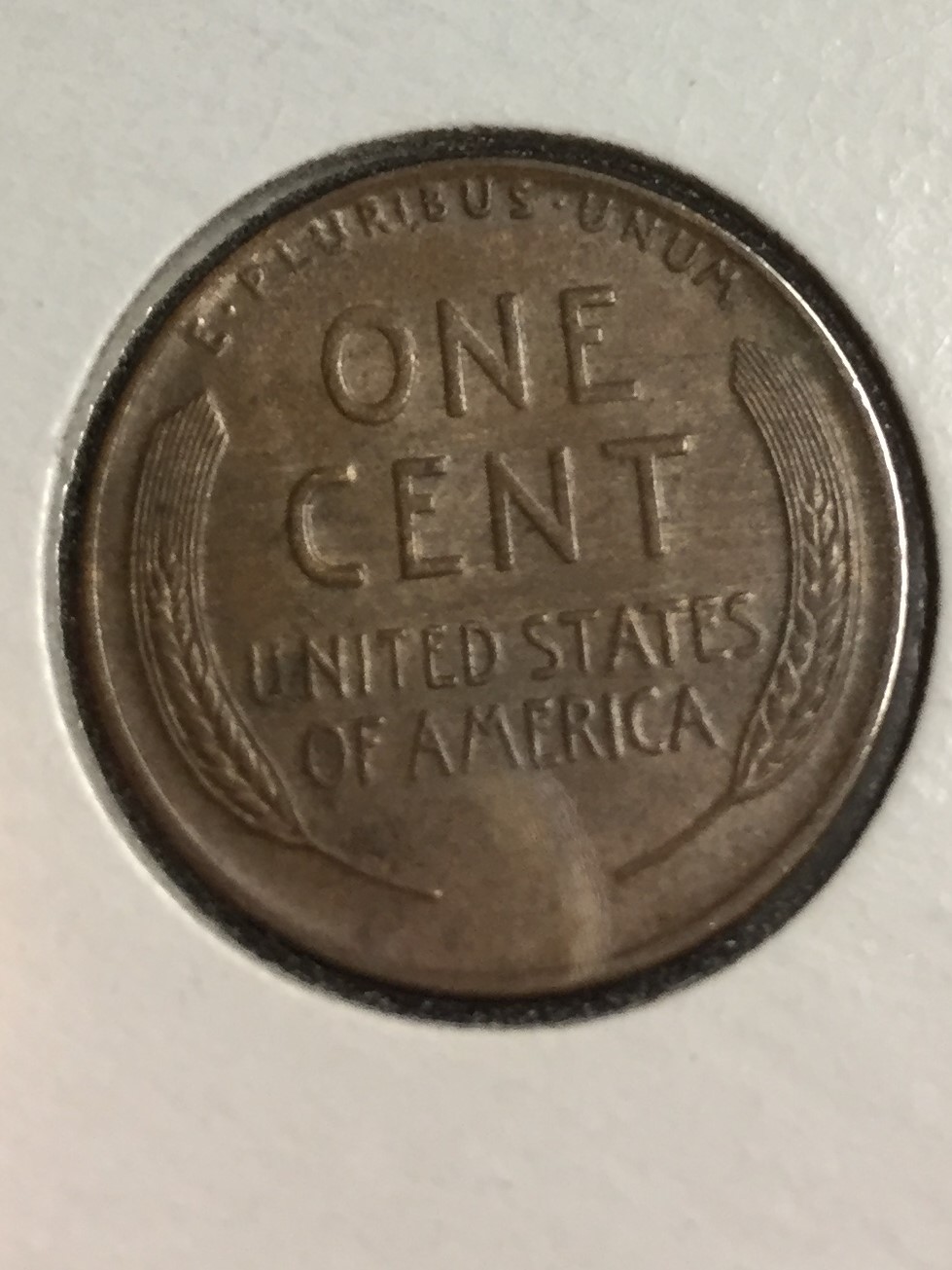 1931-D-Wheat-Penny-Trying-To-Figure-Out-Grade---I'm�a-Newbie