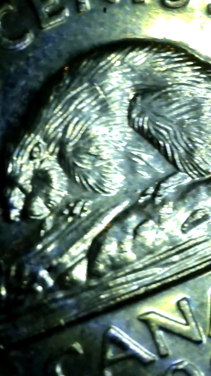 1998-Bare-Belly-Beaver?