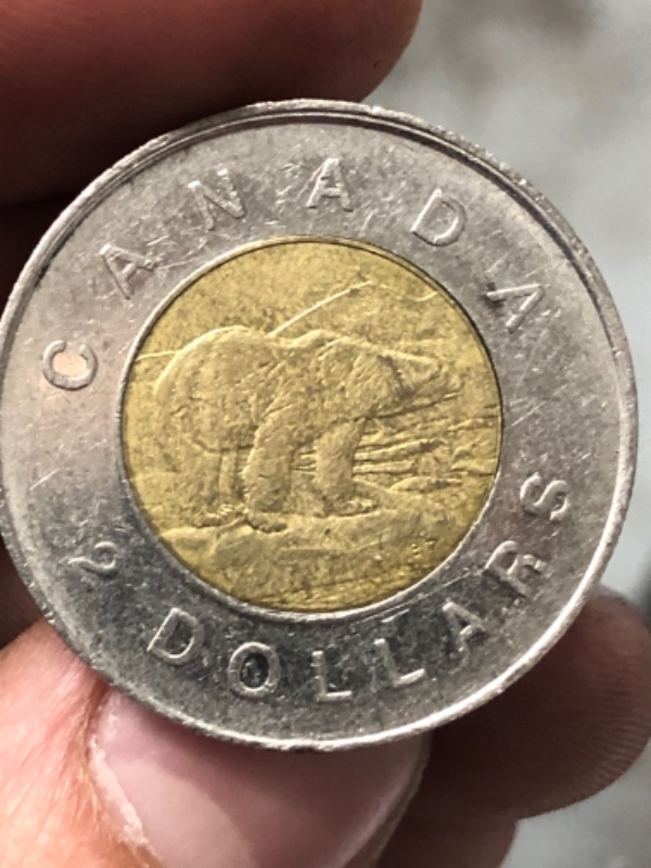 1998-Toonie-Finally-Found!