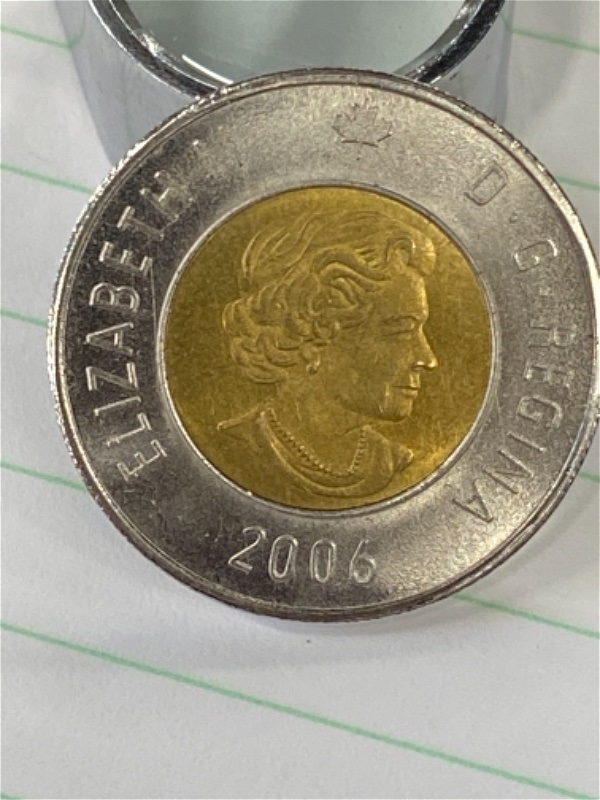 Counterfeit-Toonies-Are-Going-To-Be-A-Significant-Problem