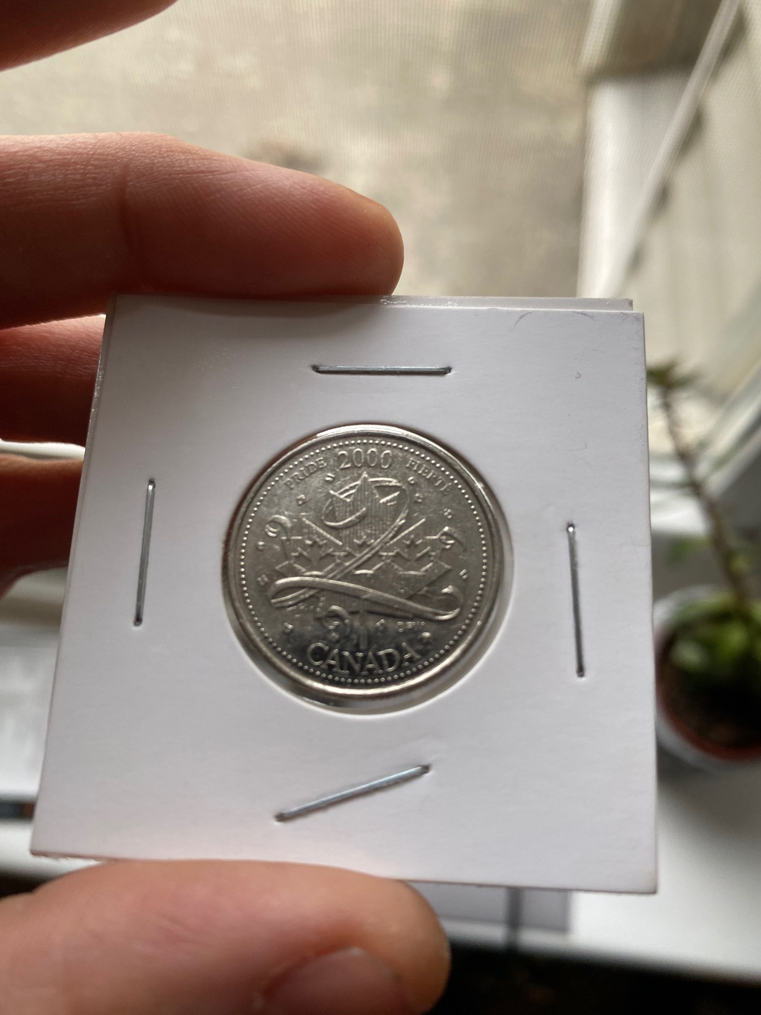 Post-Your-Most-Recent-Canadian-Coin-Purchases!