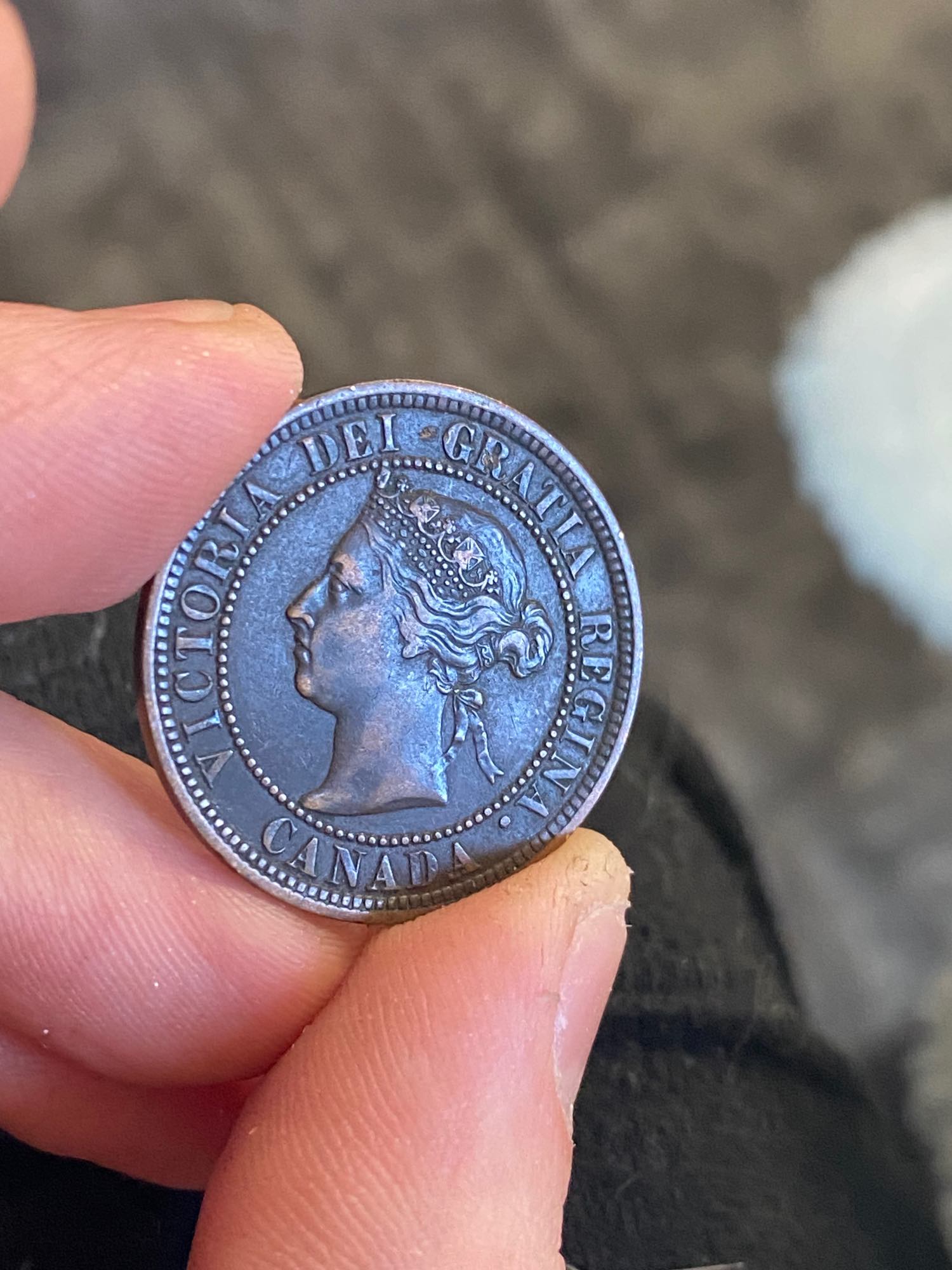 1887-Large-Cent.-What-Grade?
