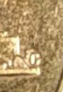 1960-D-LMC-DDR.-But-Not-On-Doubleddie.com?