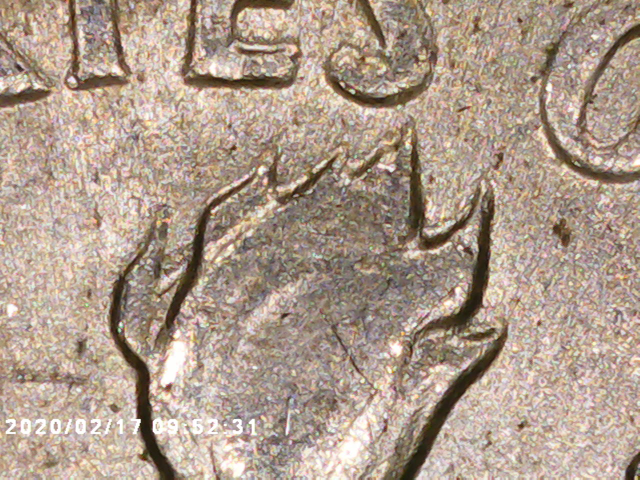 1964-D-Dime-Top-Of-Flame-Doubled?-Mint-Mark-Doubled?