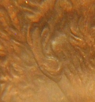 1997-Double-Earlobe-Penny-Or-MD.