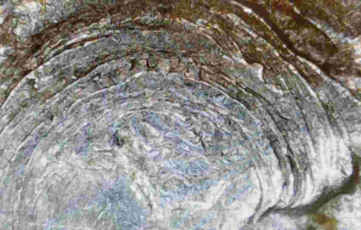 1979-D-Jefferson-Nickel-With-Swirl-On-Obverse