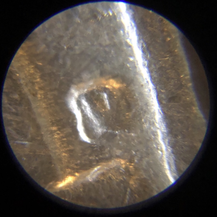 1962-D-Nickel-RPM?-Never-Found-One-Before.