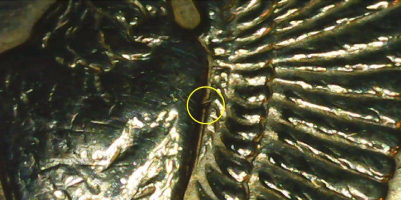 1921-P-Morgan-Dollar---Klimpton-12-VAM-53