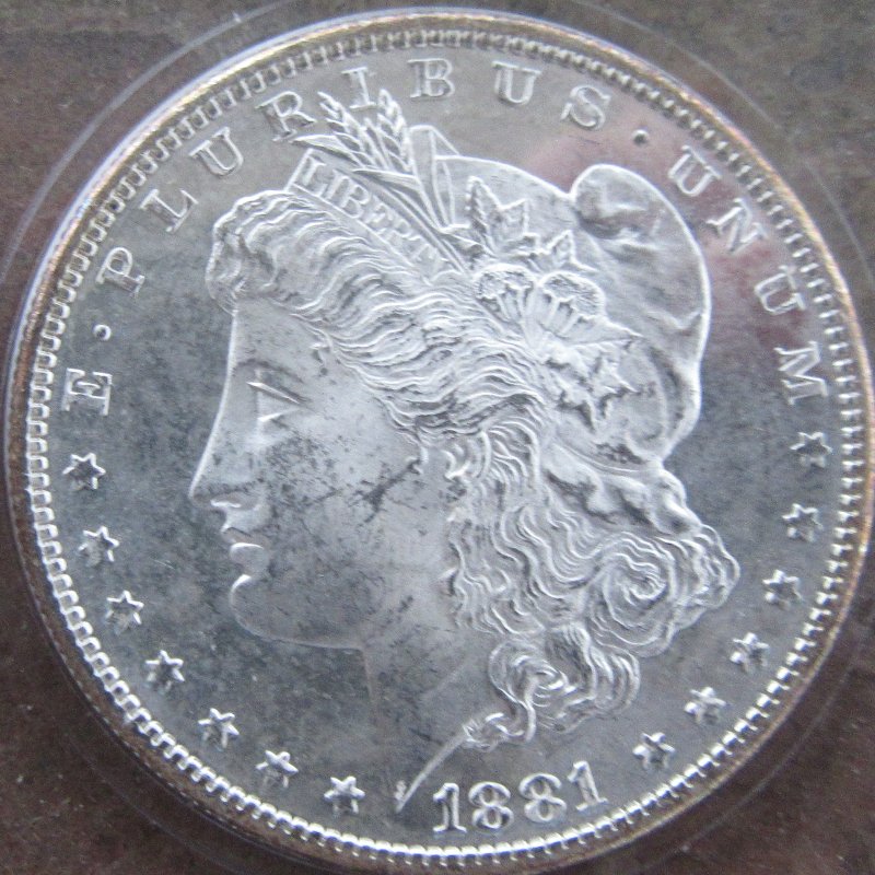 1881-S-Morgan-For-Grade---And---Is-This-A-Pl,-DMPL-Or-Not?
