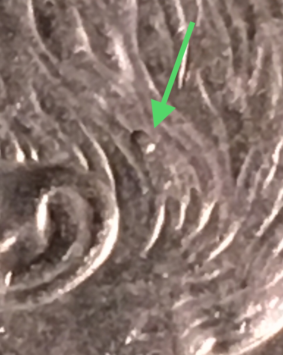 2007-P-Roosevelt-Dime-So-Does-This-Qualify-As-An-Error?-Learning-Curve