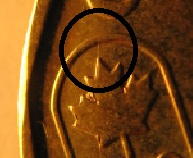 2014-Loonie-Errors?