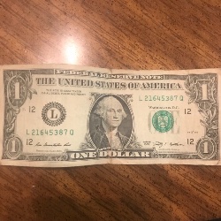 Mixed-Ladder-On-2009-$1-Bill
