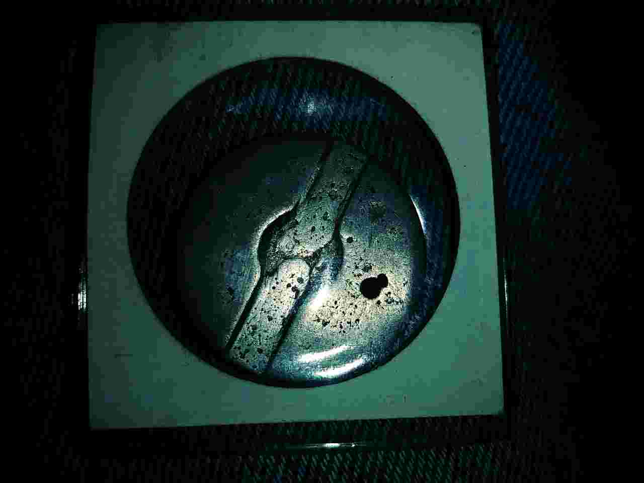 Help!-Anybody-Know-What-This-Is?