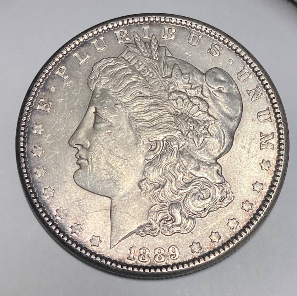 1898-Morgan-Grade-Estimate