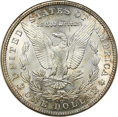 1902-O-Morgan-...-You-Vs.-ANACS-Small-Older-Holder