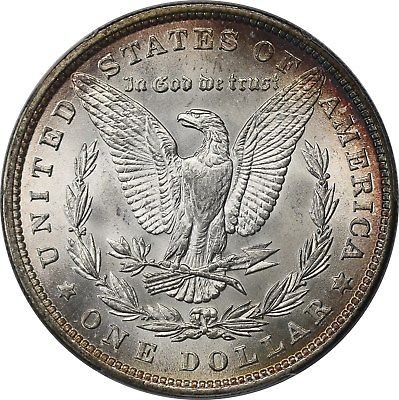 1879-Morgan-...-You-Vs.-PCGS