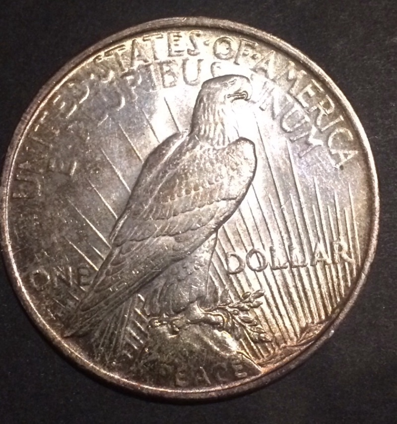 1923-Peace-Dollar...-Raw