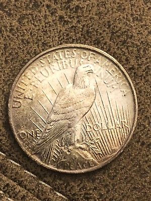 1923-Peace-Dollar...-Raw