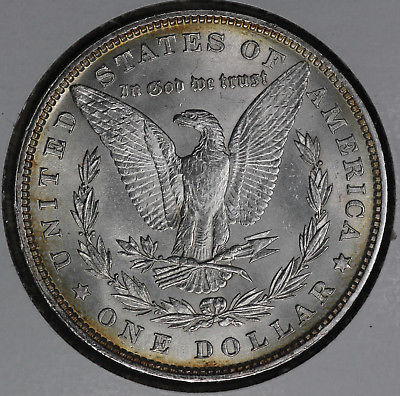 1880-Morgan-Dollar...-Raw