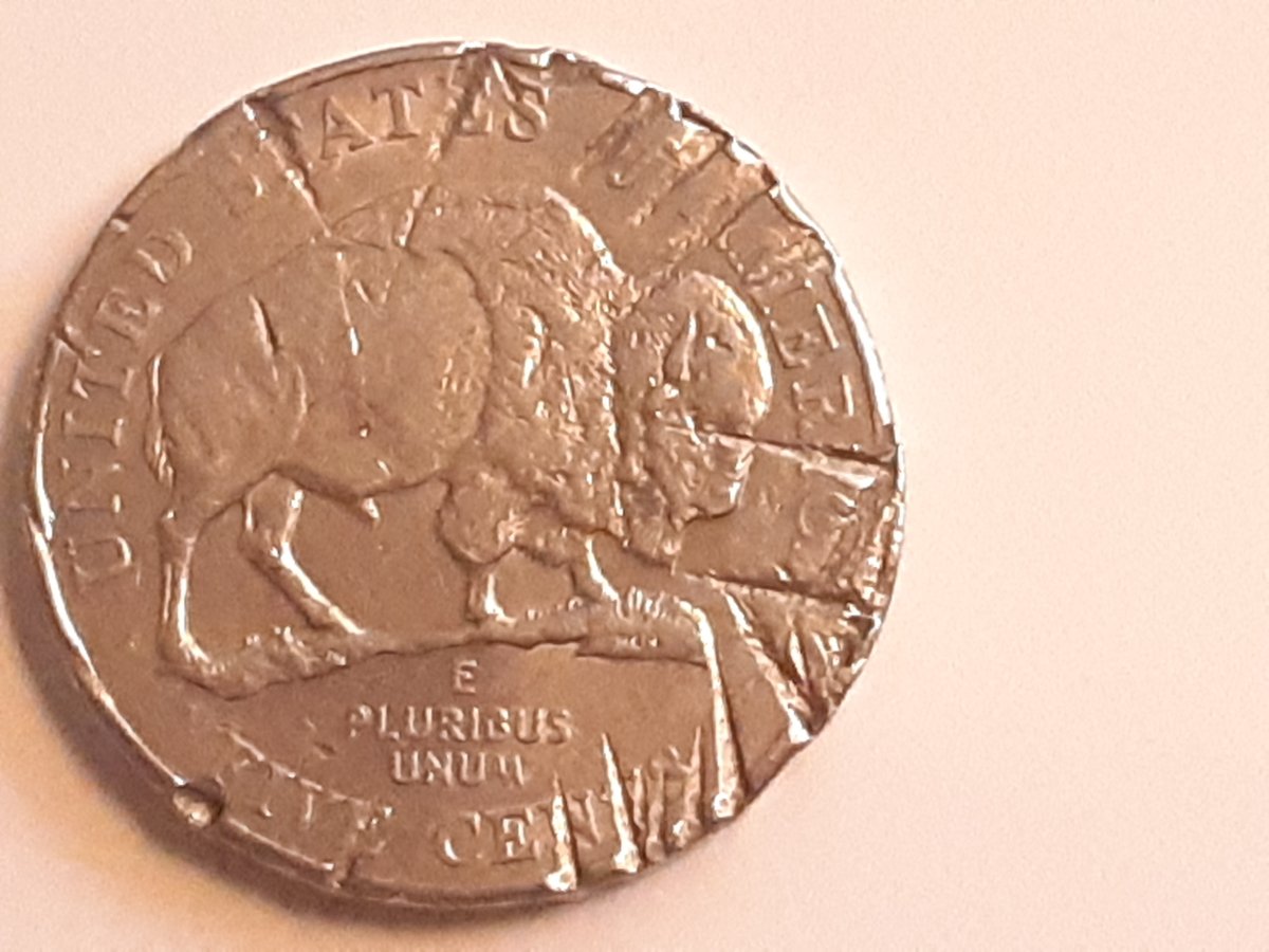 2005-American-Bison-Nickel-PMD,-Lamination,-Cracked-Planchet?
