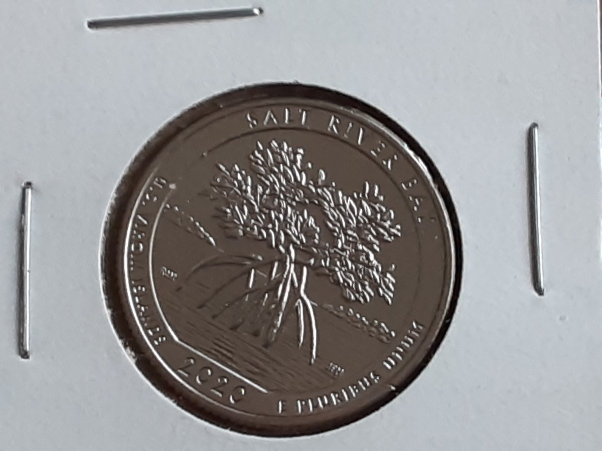 2020--S-Salt-River-Bay-Quarter-Advice