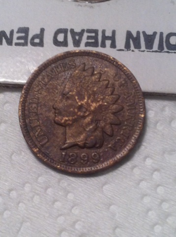 1899-Penny.-Is-That-Brass-Coming-Through?