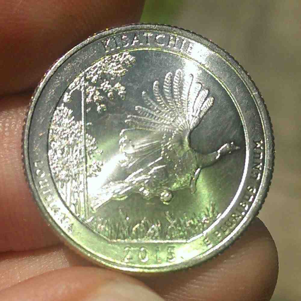 2015-Kisatchie-Quarter-In-Circulation