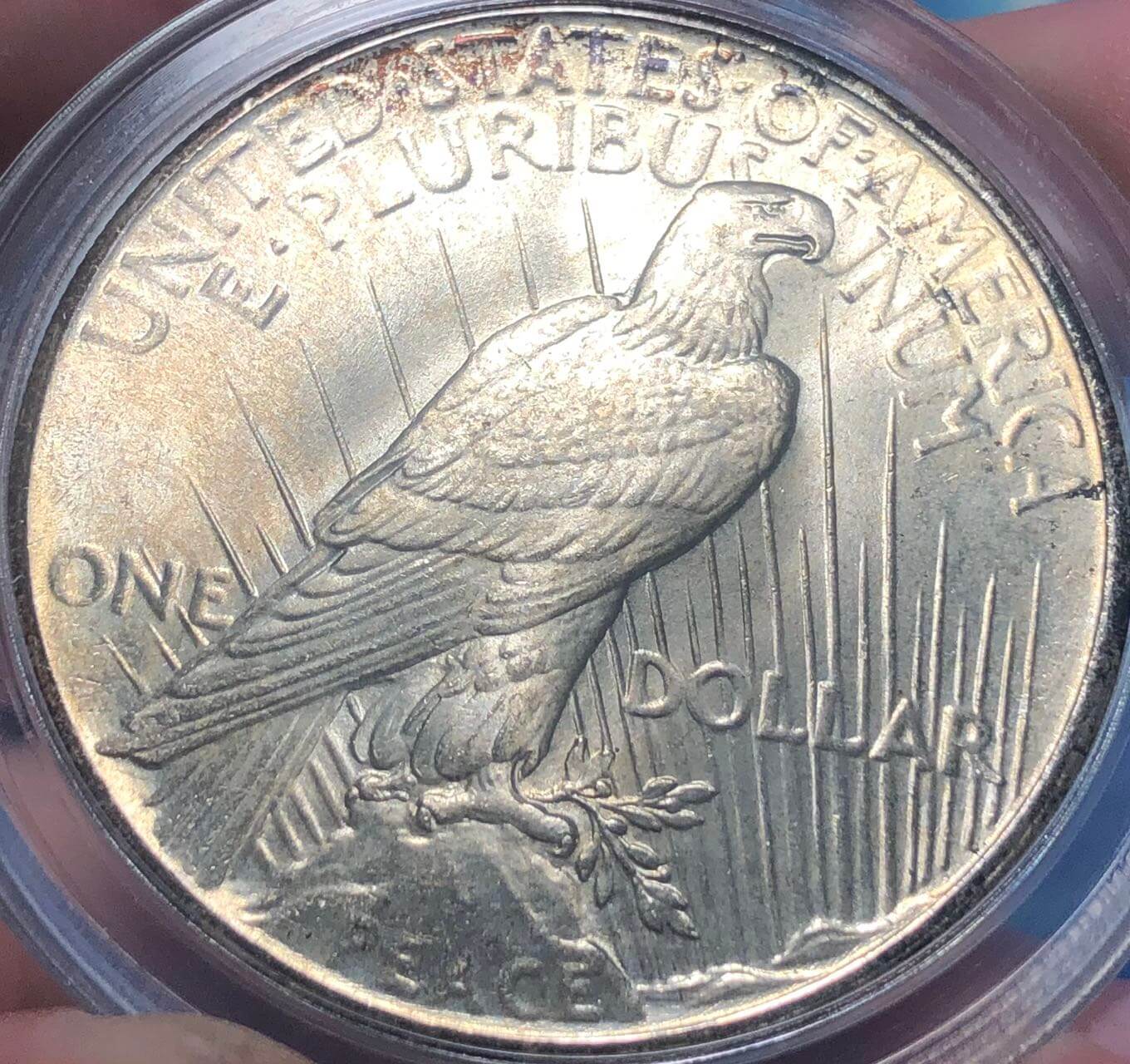 A-Nice-Example-Of-1925-Peace-Dollar