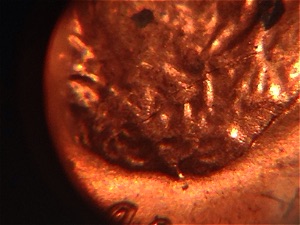 1969-Denver-Cracked-Skull-LMC