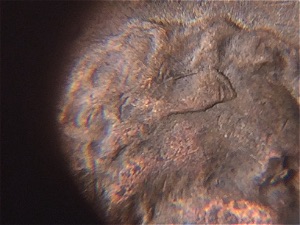 1953-D-Lincoln-Wheat-Cent-RIDB