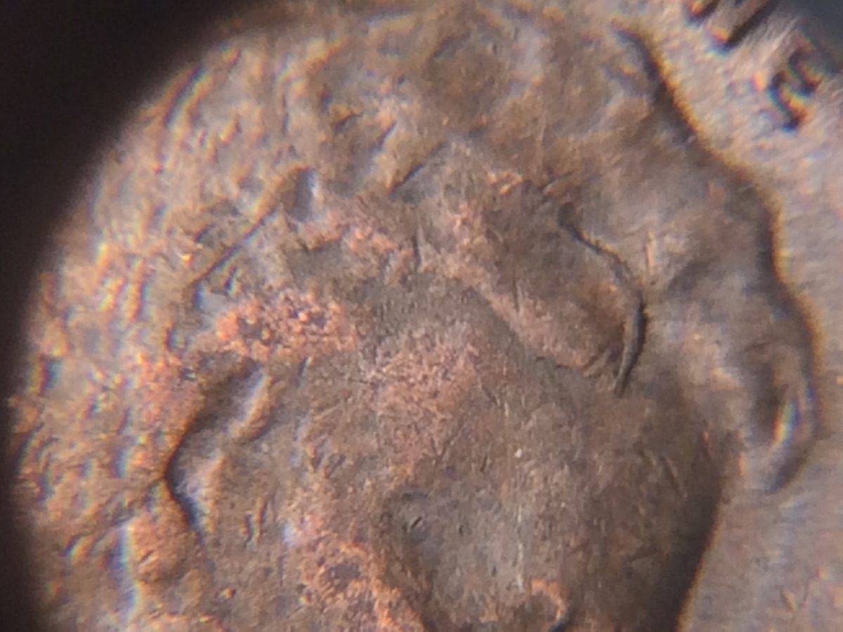 1953-D-Lincoln-Wheat-Cent-RIDB