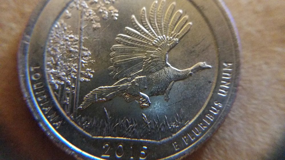 2015-America-The-Beautiful-Reverse-Doubling.-Talons-An-Tail-Feathers?