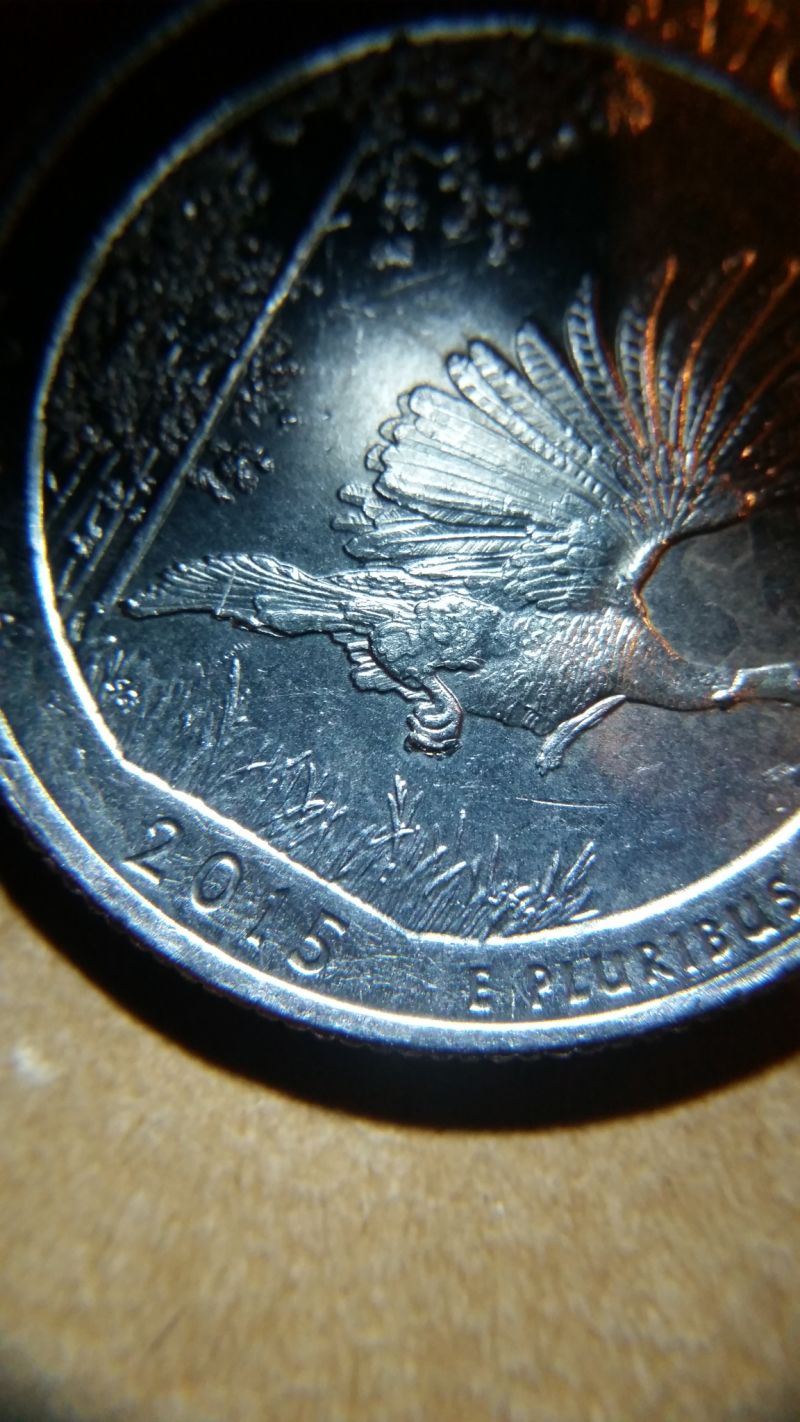 2015-America-The-Beautiful-Reverse-Doubling.-Talons-An-Tail-Feathers?