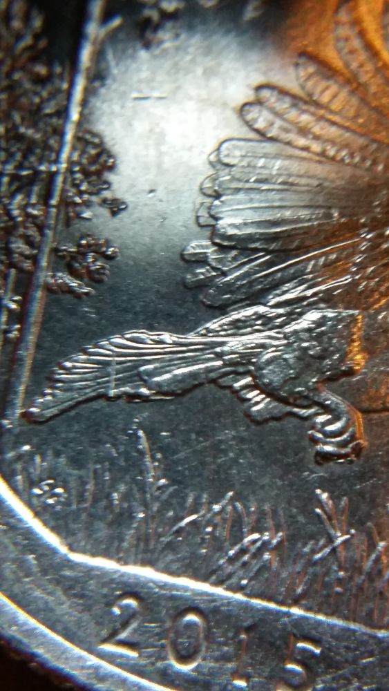 2015-America-The-Beautiful-Reverse-Doubling.-Talons-An-Tail-Feathers?