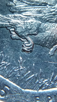 2015-America-The-Beautiful-Reverse-Doubling.-Talons-An-Tail-Feathers?